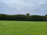 Maison à construire à Châteauroux (36000) 2132785-10775annonce120250331BTm0O.jpeg Maisons Bruno Petit MJB
