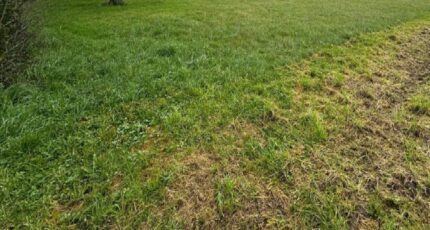 Allouis Maison neuve - 2084608-10999annonce120250219UGRp9.jpeg Maisons Bruno Petit MJB