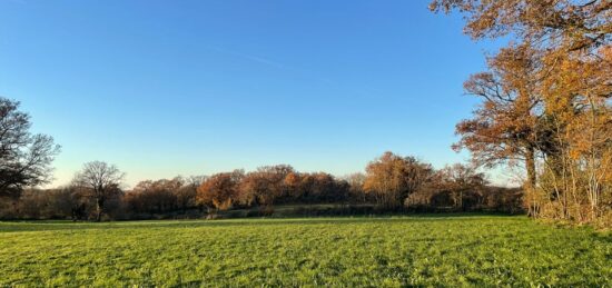 Terrain à bâtir à Mosnay, Centre-Val de Loire