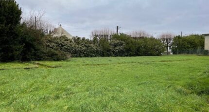 Niherne Terrain à bâtir - 2156416-10775annonce120250514CZgHo.jpeg Maisons Bruno Petit MJB