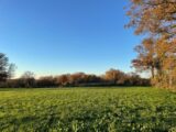 Terrain à bâtir à Châteauroux (36000) 2183867-11377annonce220250606TLRKf.jpeg Maisons Bruno Petit MJB