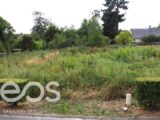 Maison à construire à Sainte-Thorette (18500) 2262662-11209annonce120250906dgQ4J.jpeg Maisons Bruno Petit MJB