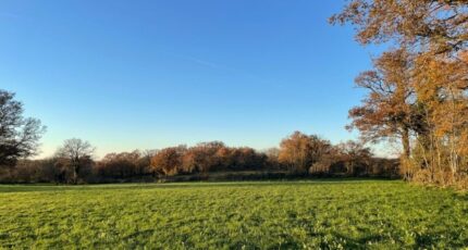 Sainte-Gemme Maison neuve - 2375632-11659annonce120251121Jkdh1.jpeg Maisons Bruno Petit MJB