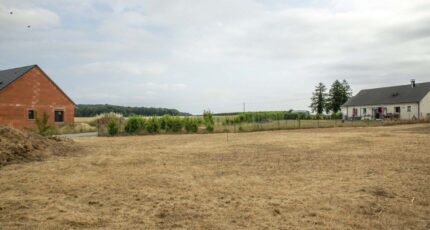 Brécy Terrain à bâtir - 2396013-11757annonce1202601160fAl7.jpeg Maisons Bruno Petit MJB