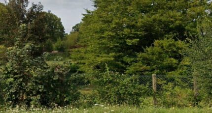 Bourges Maison neuve - 2432324-11786annonce120260217bTWwg.jpeg Maisons Bruno Petit MJB