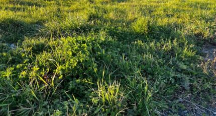 Montierchaume Maison neuve - 2438784-11653annonce1202602234wfAP.jpeg Maisons Bruno Petit MJB