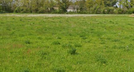 La Guerche-sur-l'Aubois Maison neuve - 2438901-11786annonce120260224z5t0w.jpeg Maisons Bruno Petit MJB