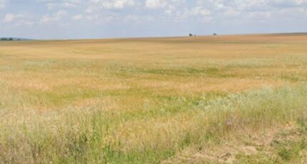 Saint-Doulchard Maison neuve - 2442468-11786annonce120260227fvzvg.jpeg Maisons Bruno Petit MJB