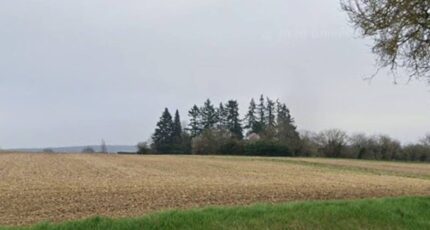 Crézancy-en-Sancerre Maison neuve - 2445942-11786annonce120260303ph6xN.jpeg Maisons Bruno Petit MJB