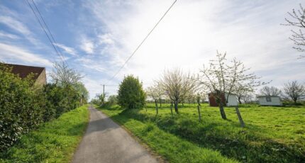 Celon Terrain à bâtir - 2466314-787annonce1202603247cvA3.jpeg Maisons Bruno Petit MJB