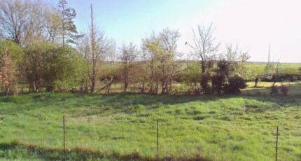 La Guerche-sur-l'Aubois Maison neuve - 2578039-11786annonce1202607082nTX8.jpeg Maisons Bruno Petit MJB