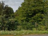 Maison à construire à Sancoins (18600) 2635160-11786annonce120260915BvsqC.jpeg Maisons Bruno Petit MJB