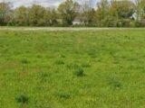 Maison à construire à Reuilly (36260) 2643169-11786annonce120260922D3E5q.jpeg Maisons Bruno Petit MJB