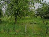 Maison à construire à Bruère-Allichamps (18200) 2616258-11786annonce120260902OOISg.jpeg Maisons Bruno Petit MJB