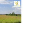 Maison à construire à Soulangis (18220) 2626633-11966annonce220260909k7oLp.jpeg Maisons Bruno Petit MJB
