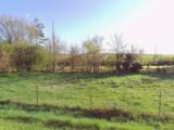 Maison à construire à Nérondes (18350) 2676666-11786annonce120261014LA6MT.jpeg Maisons Bruno Petit MJB
