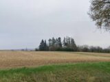 Maison à construire à Vouzeron (18330) 2641249-11786annonce1202609214d2uc.jpeg Maisons Bruno Petit MJB